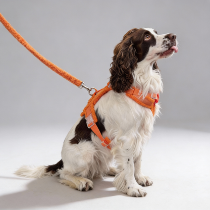 Teddy Dog Harness Set with Leash | Soft Sherpa Harness | Orange